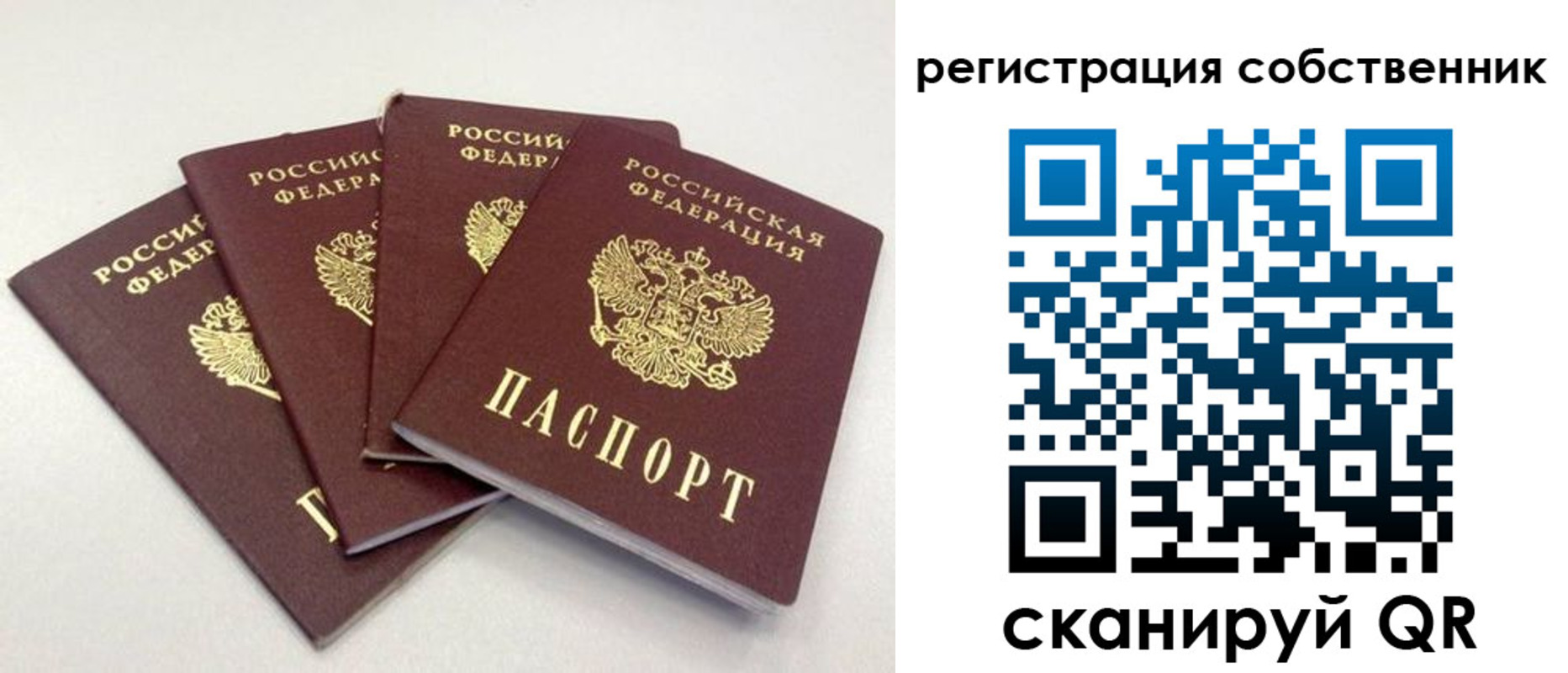 прописка для школы в Карасуке